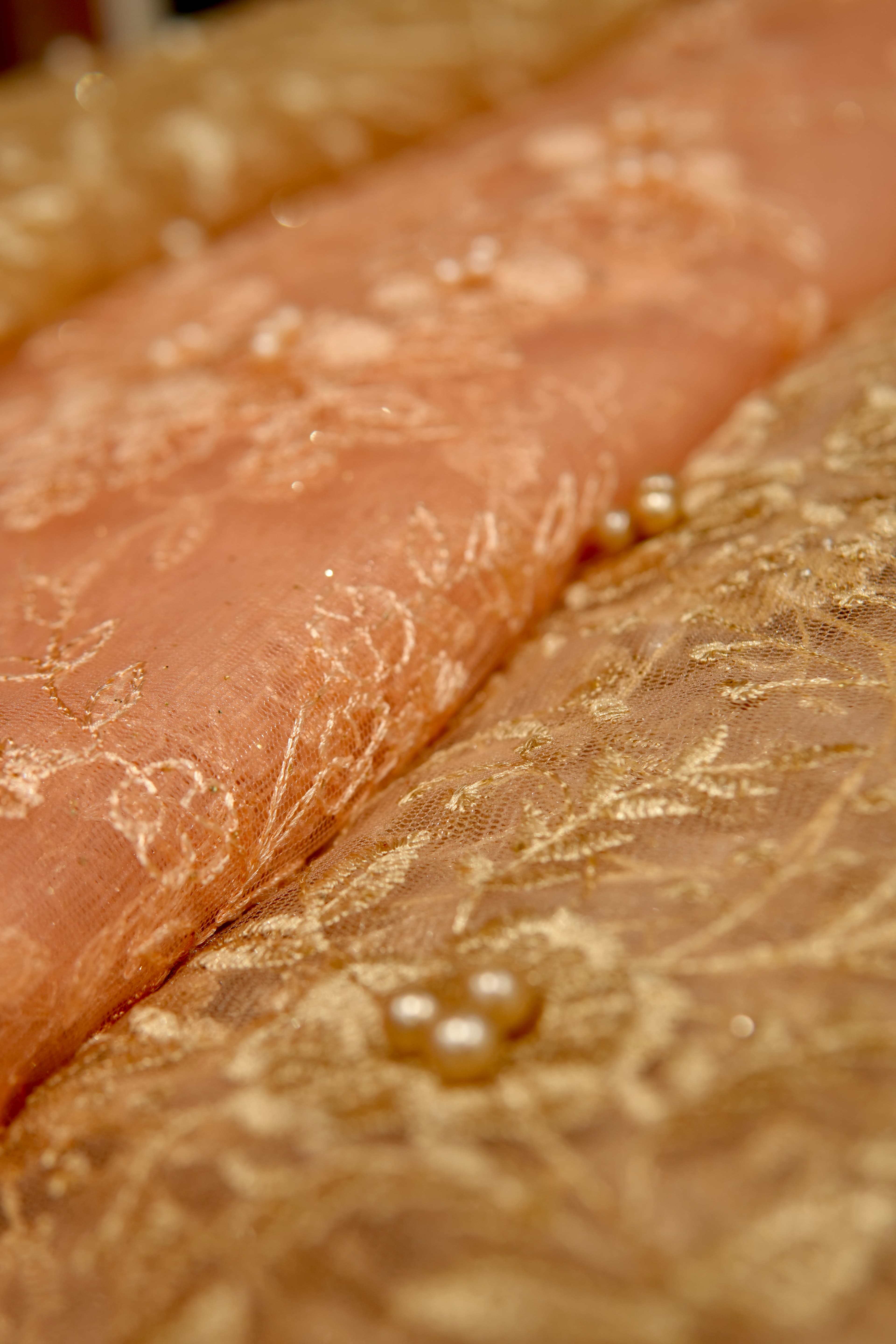 Embroidered Organza Fabrics detail 1